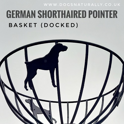 German Shorthaired Pointer Hanging Basket (Docked)